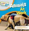 Animals_at_work