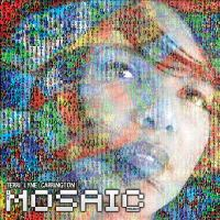 The_mosaic_project
